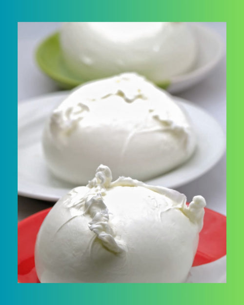 Mozzarella di Bufala DOP